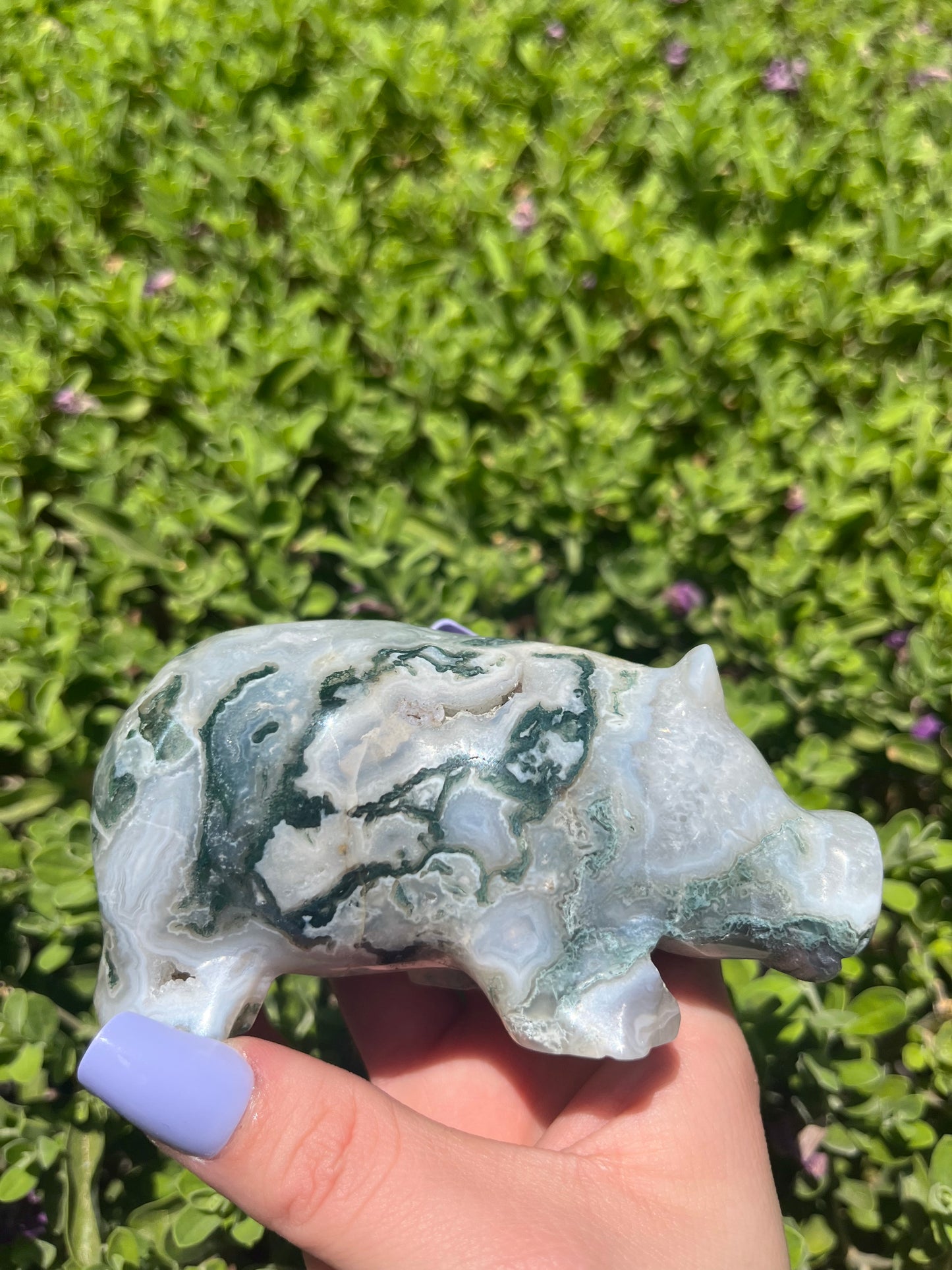 Moss Agate Druzy Hippo Carving