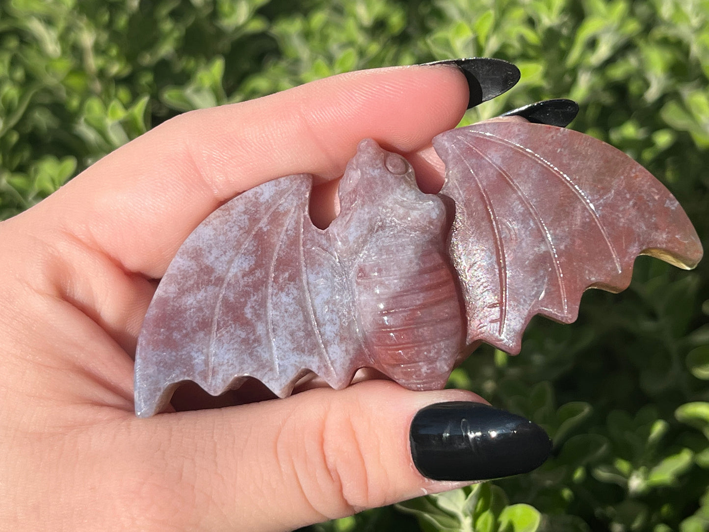 Ocean Jasper Bats