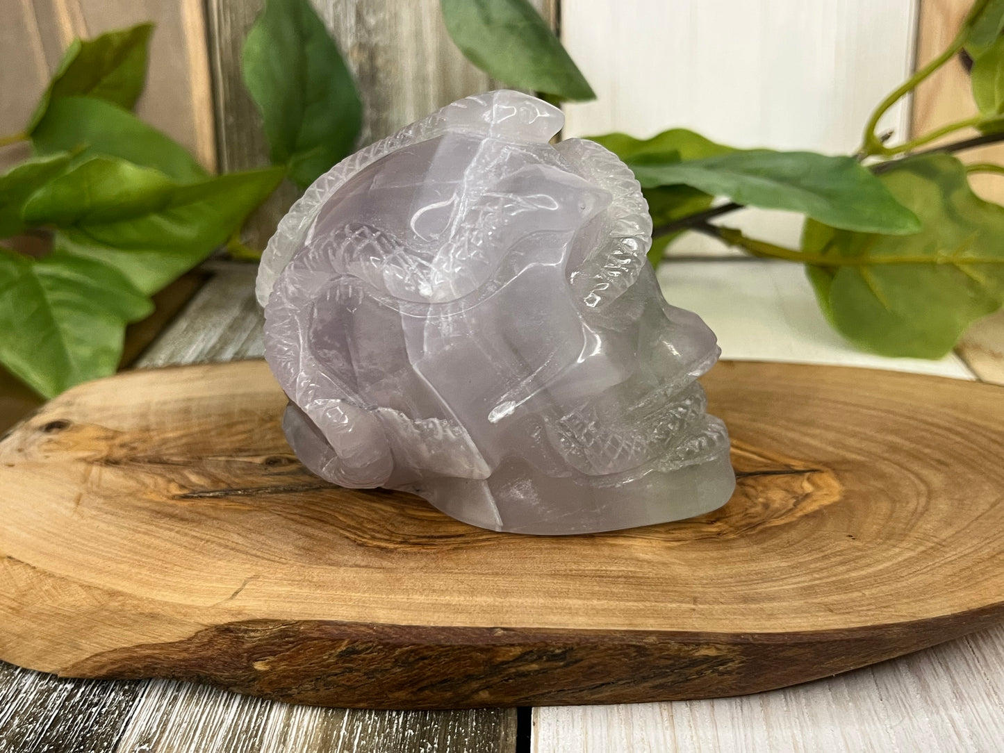 Fluorite Skull w/ Snake Intertwined Carving