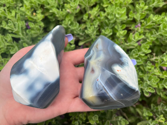 Orca Agate Flame Carvings