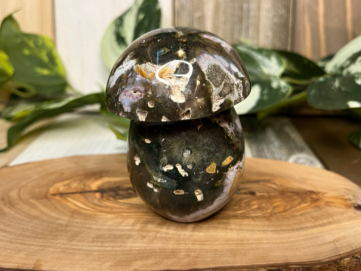 Ocean Jasper Mushroom Carving