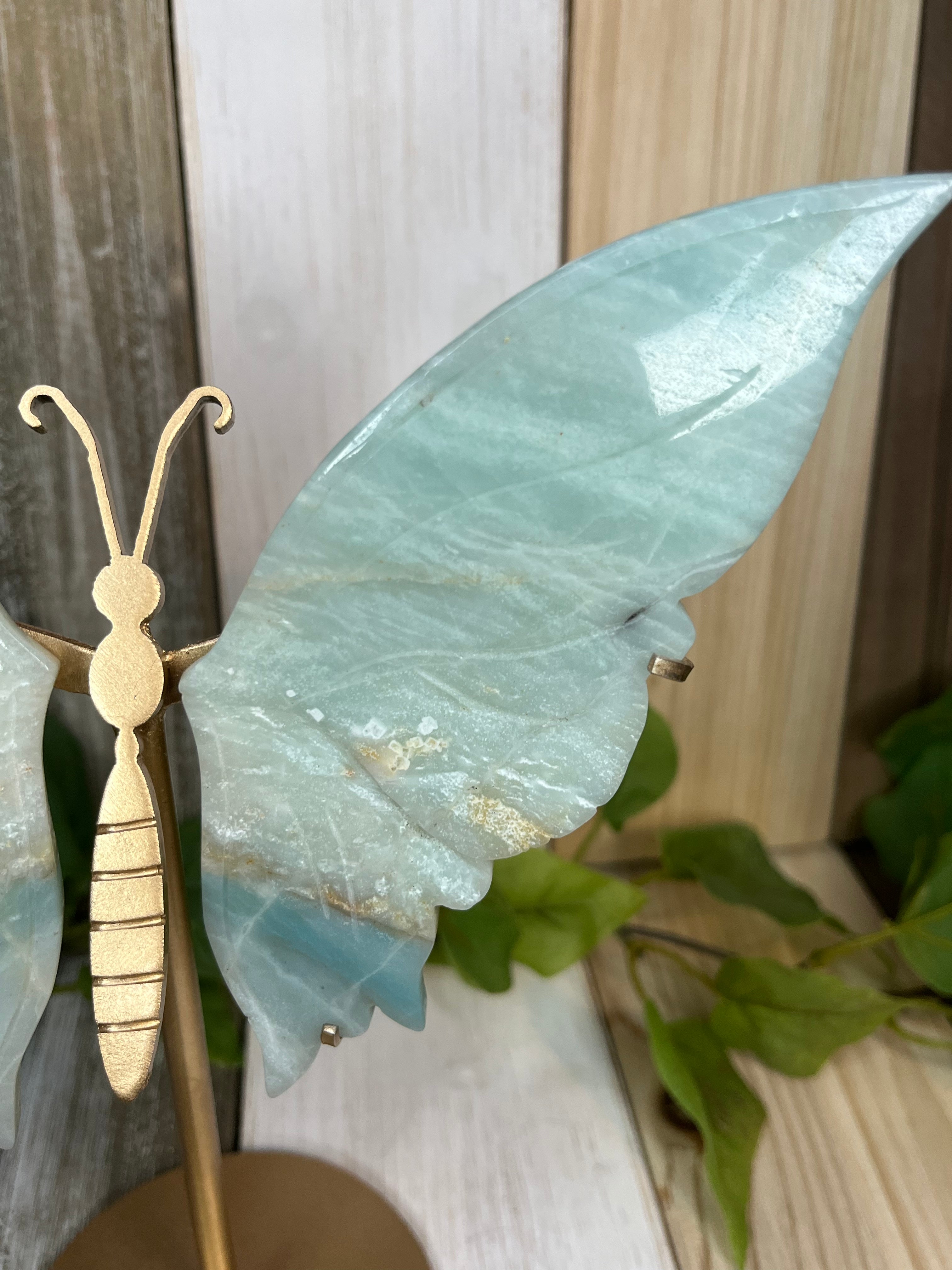 Caribbean Calcite Butterfly Wings - matt finish selling