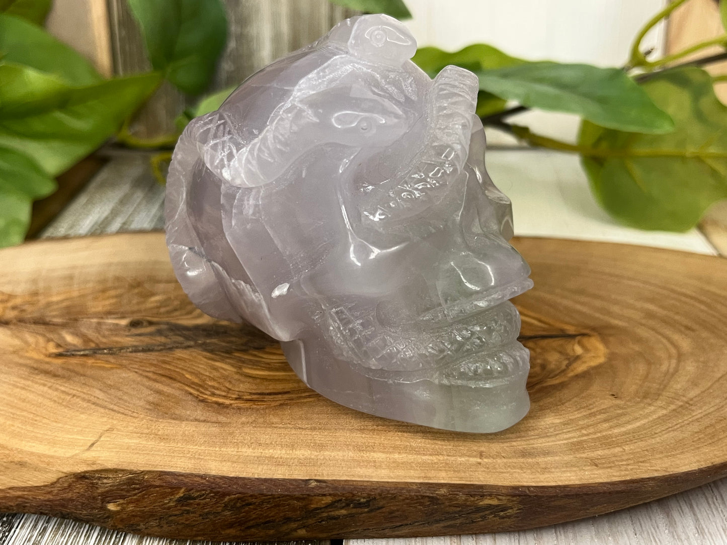 Fluorite Skull w/ Snake Intertwined Carving