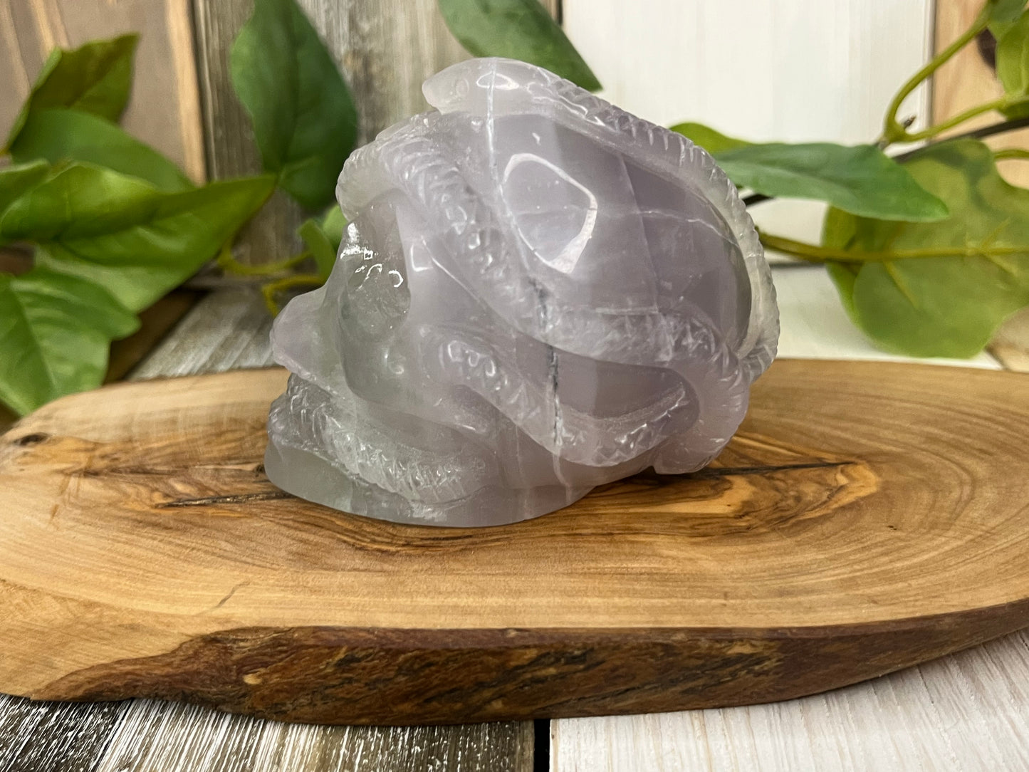 Fluorite Skull w/ Snake Intertwined Carving