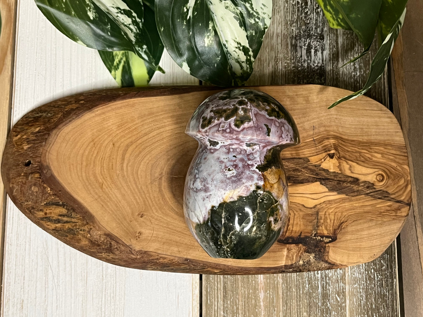 Ocean Jasper Mushroom Carving