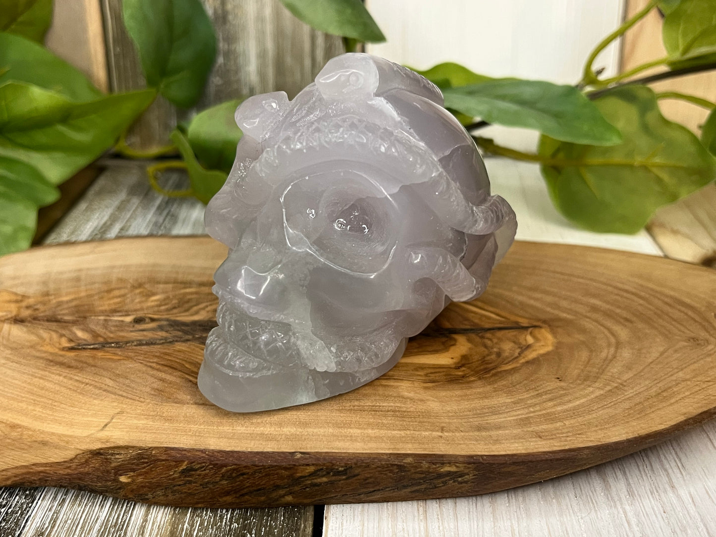 Fluorite Skull w/ Snake Intertwined Carving