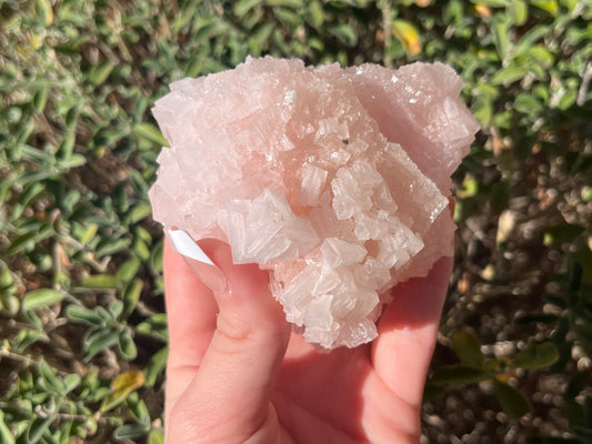 California Pink Halite