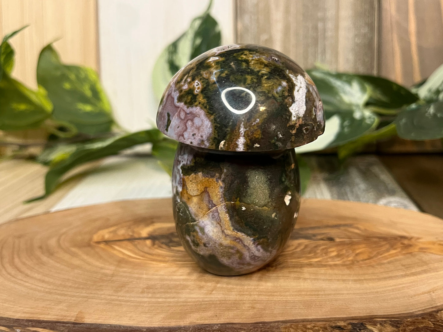 Ocean Jasper Mushroom Carving