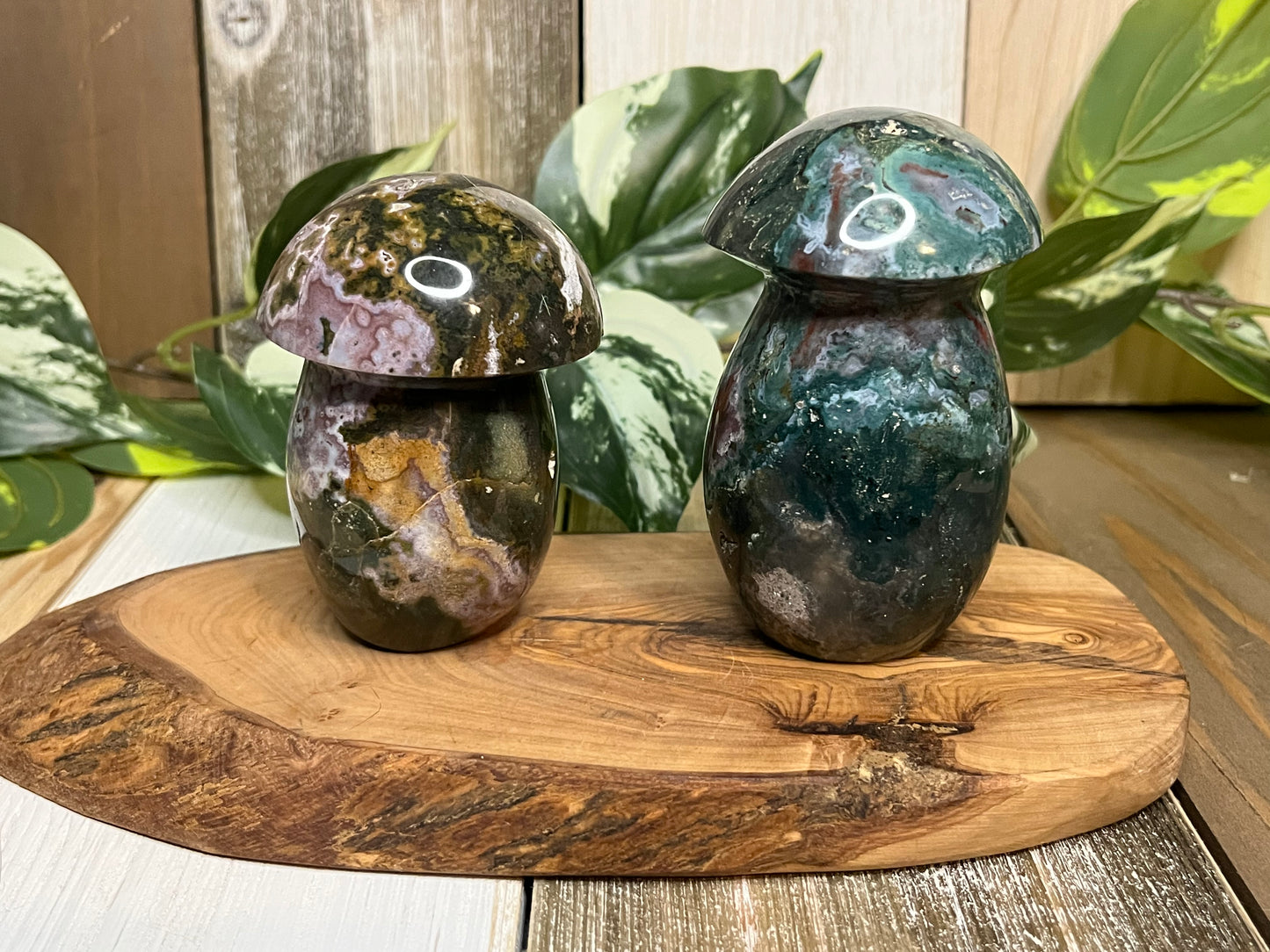 Ocean Jasper Mushroom Carving