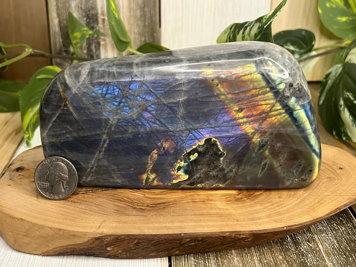 Labradorite Freeform