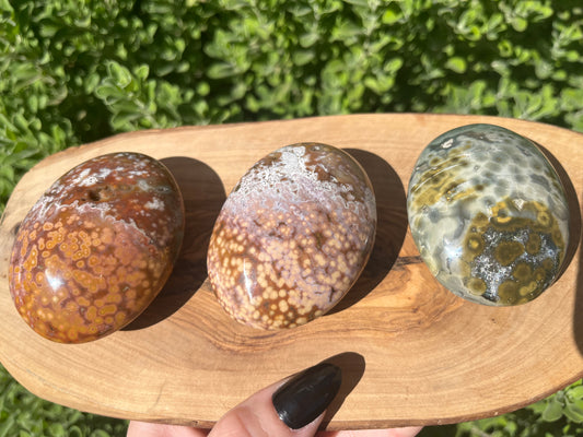 Orbicular Ocean Jasper Palm Stones