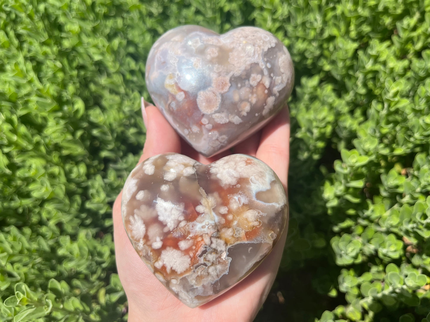 Flower Agate Puffy Hearts