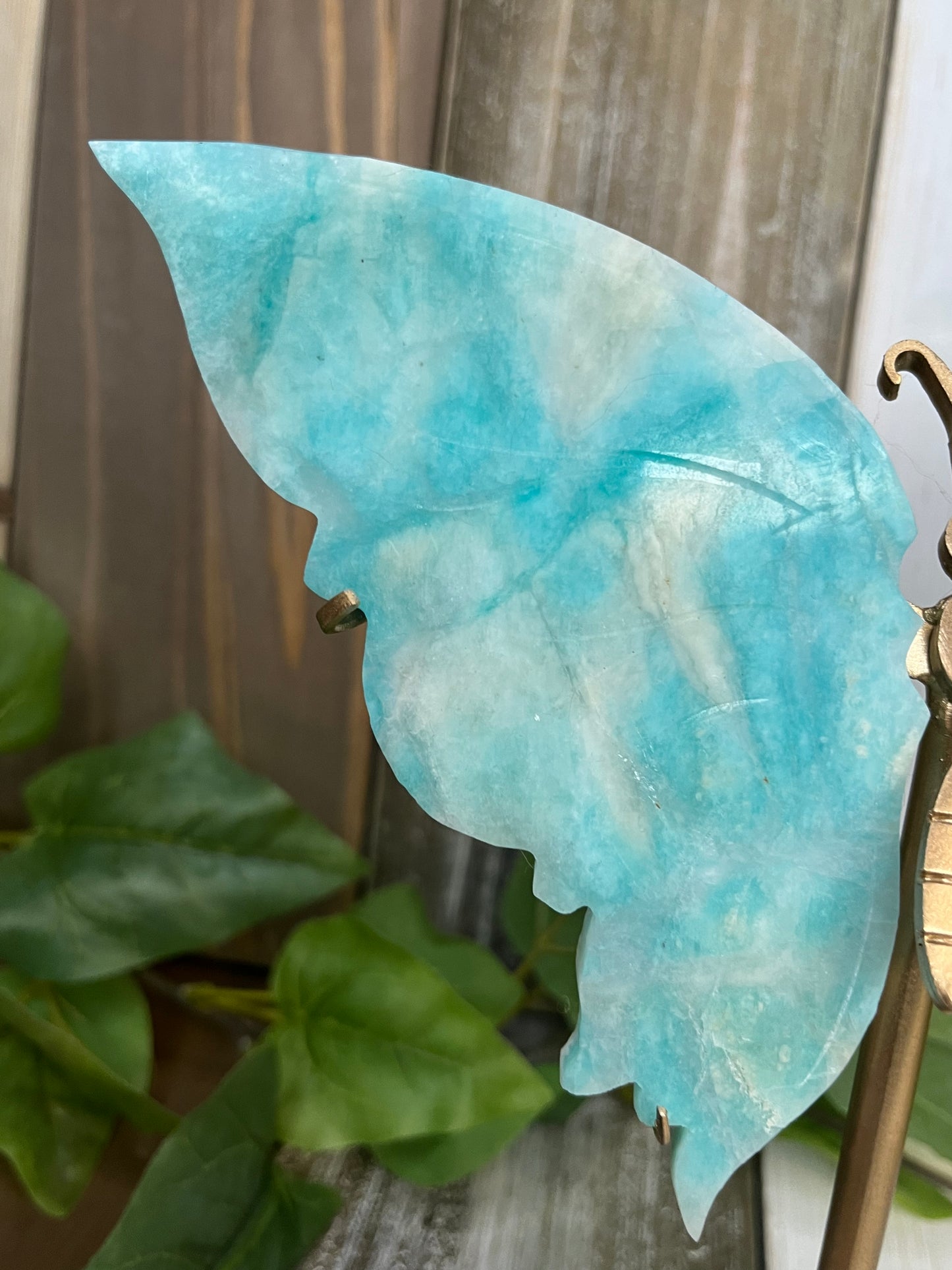 Amazonite Butterfly Wings