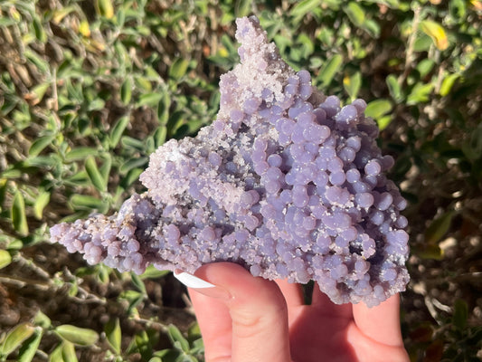 Grape Agate Specimens