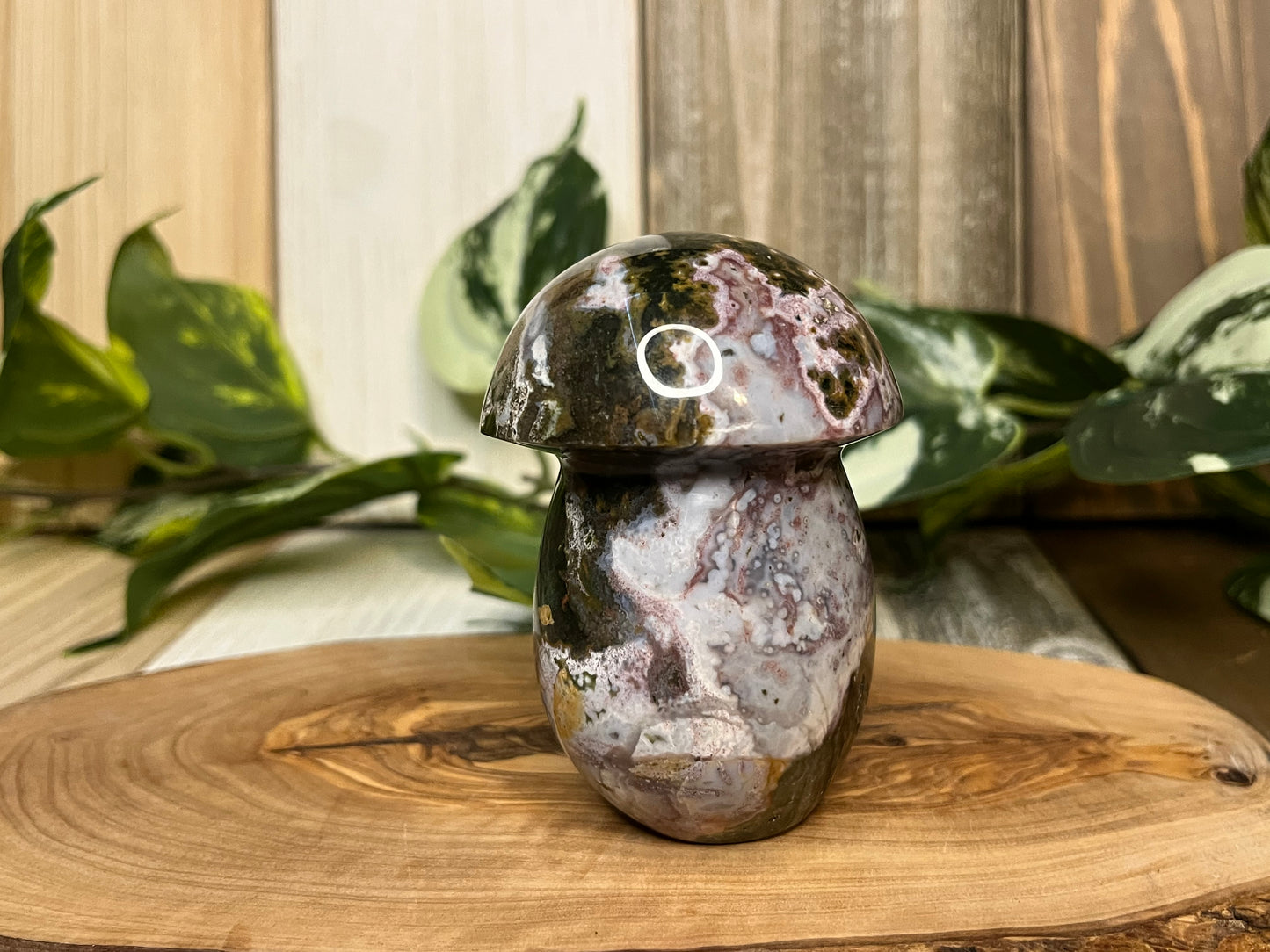 Ocean Jasper Mushroom Carving