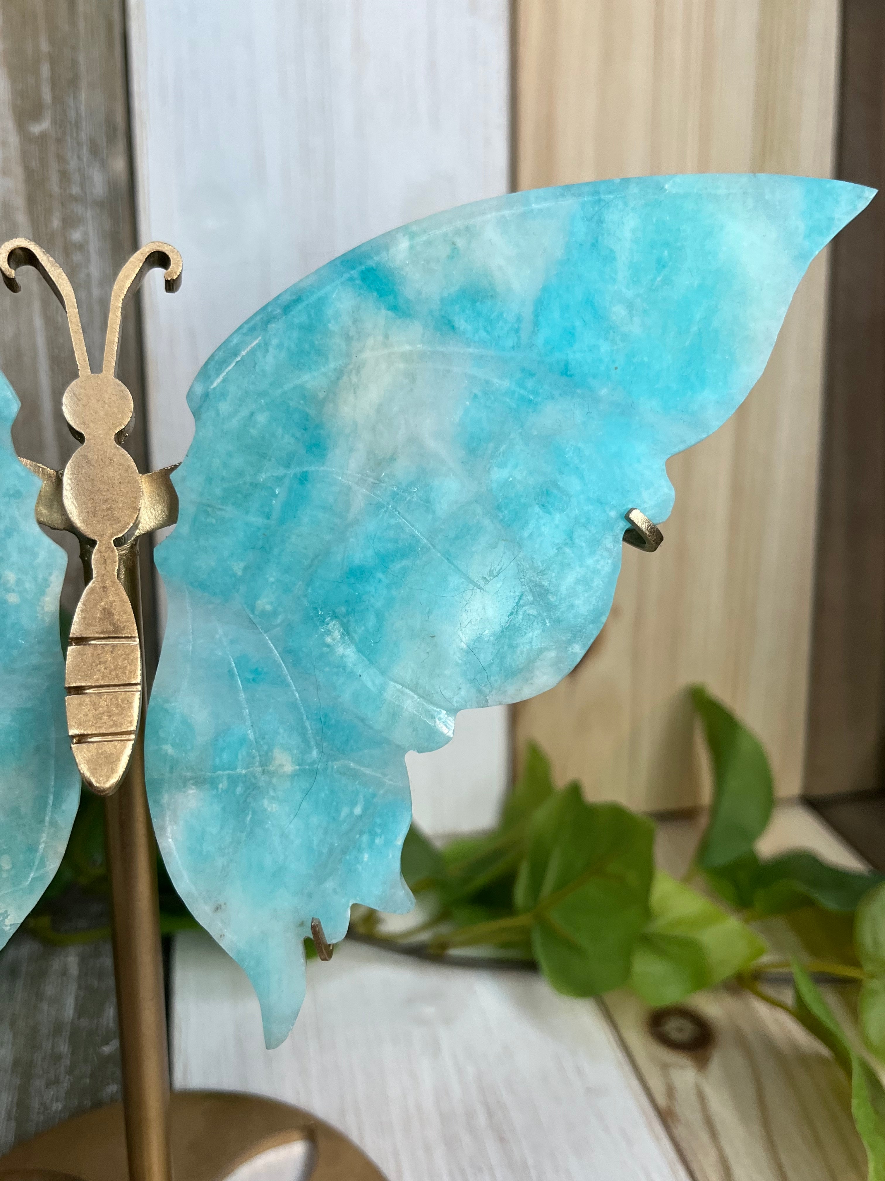 Amazonite Butterfly deals wing with stand