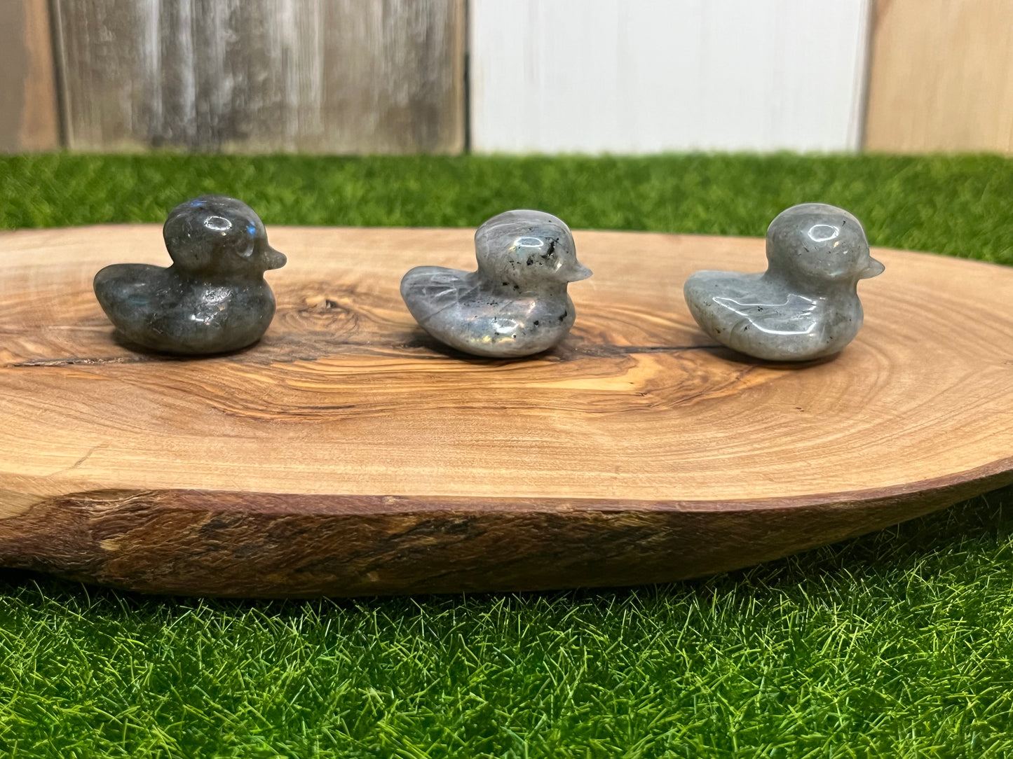 Labradorite Duck Carvings