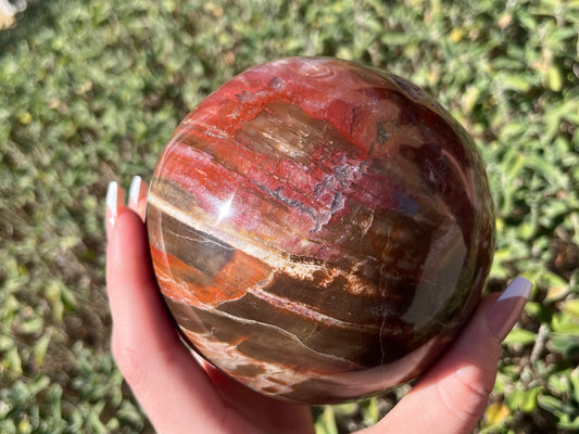 Petrified Wood Sphere