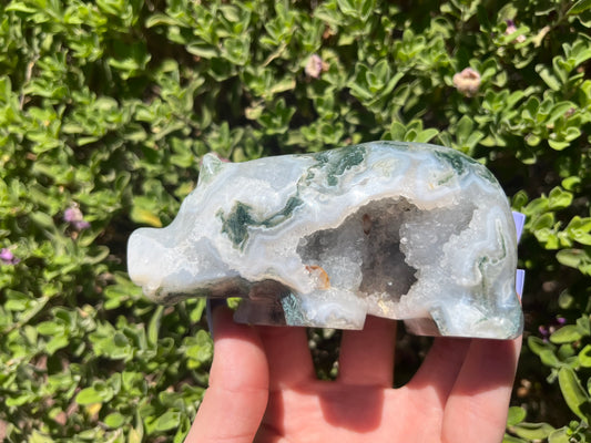 Moss Agate Druzy Hippo Carving