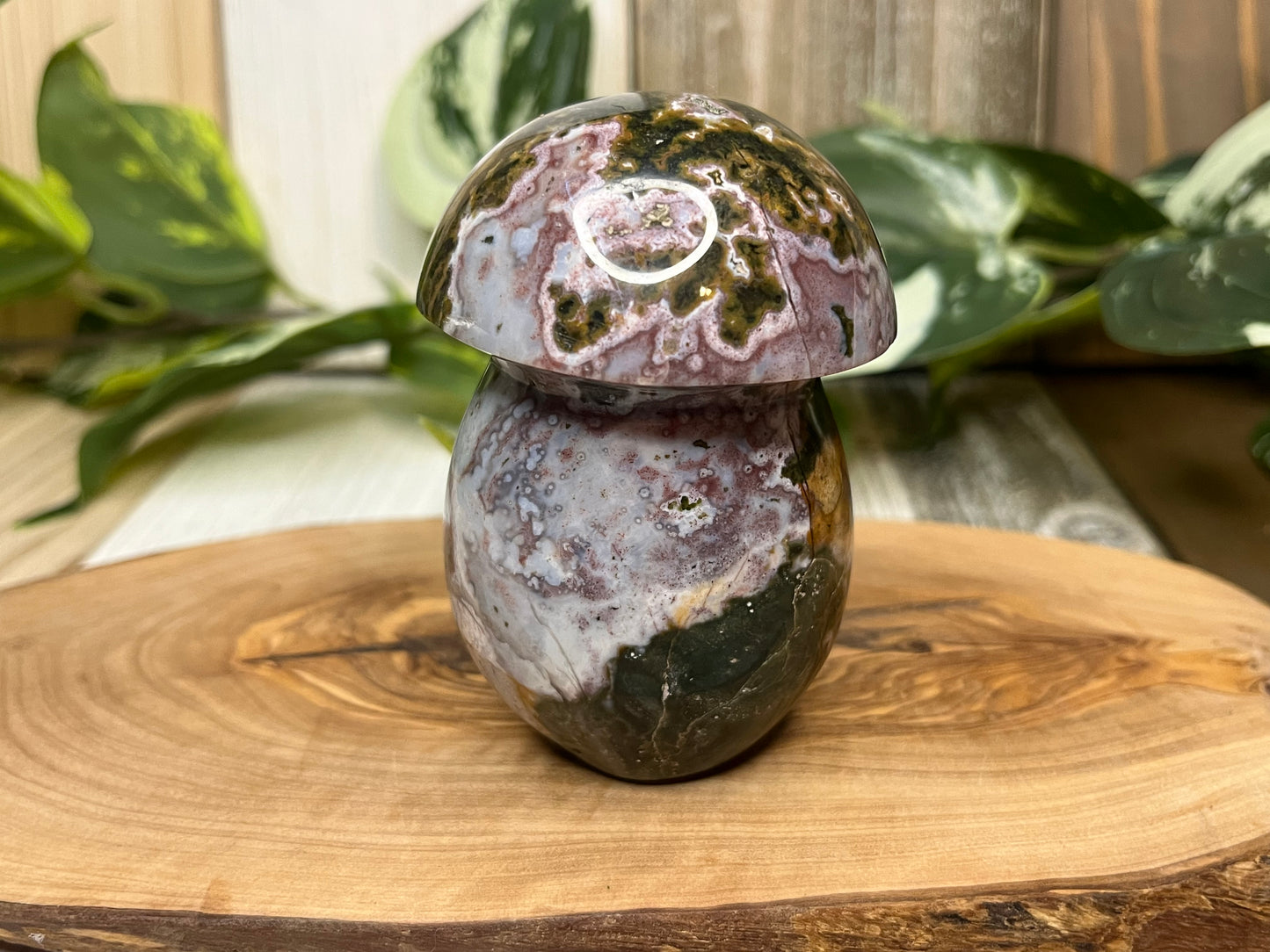 Ocean Jasper Mushroom Carving